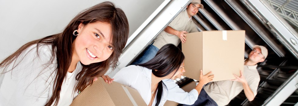 Professional Removalists Airds